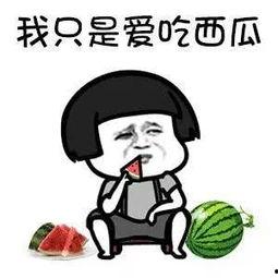 娱乐吃瓜钓鱼,钓鱼揭秘幕后故事